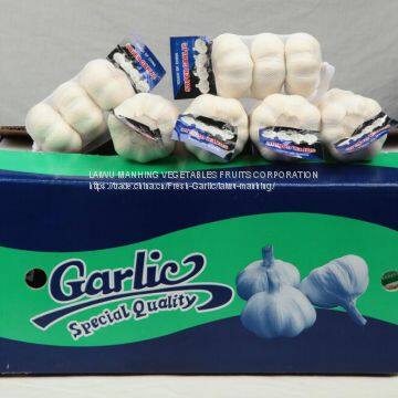 Fresh Garlic/White Garlic