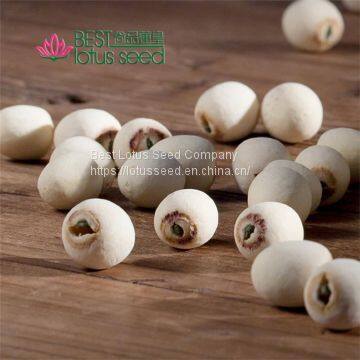 Lotus Seed Lotus Nut Lotus Kernel Dried Grinding White Lotus Seed with Core Plumule