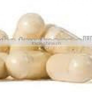 Certified Ashwagandha Capsules for bulk export