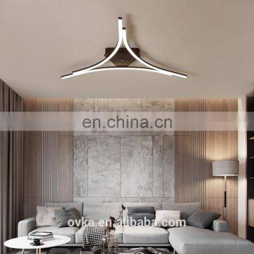 Creative Line Acrylic Ceiling Lamp Hot Bedroom Lamp photo-5