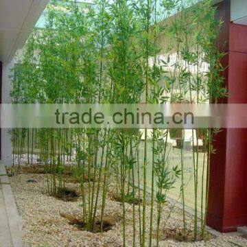 artificial bamboo artificial lucky bamboo with reasonable price