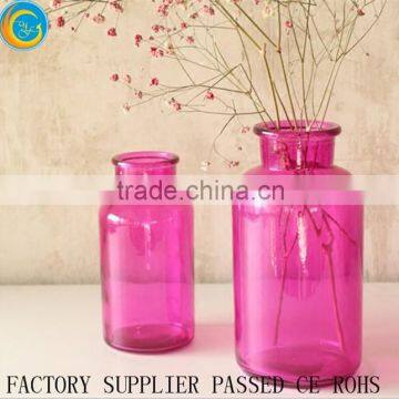Stylish colorful Glass Bottle plant vase or moss terrarium clear flower vases                        
                                                Quality Choice
