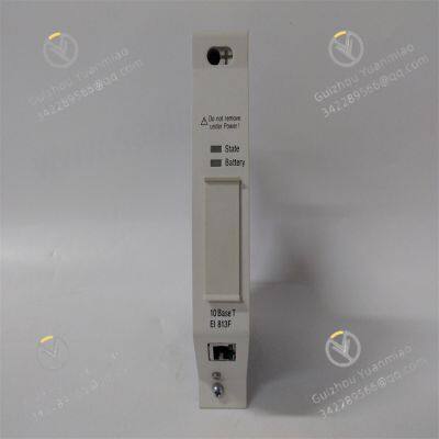 EI813F Analog Input Module
