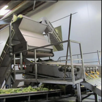 Custom Design Available Sweet Corn Processing Machines Corn Processing Equipment Canned Sweet Corn Processing Machine photo-5