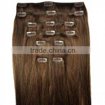 European 100% remy clip in human hair