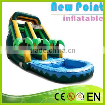 New Point inflatable water slides for summer,professional double lane inflatable water slides,inflatable water slides