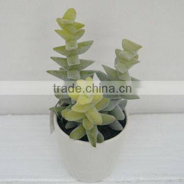 2014 high nature potted artificial plants & succulent