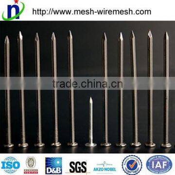 Best Quality 2" Common Nails,square Boat Nails photo-6