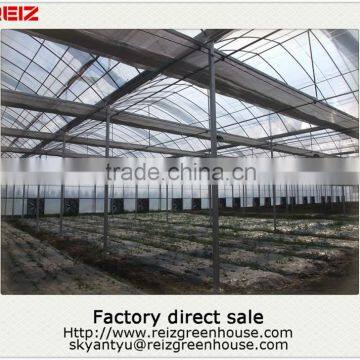 Cheap commercial glass greenhouse