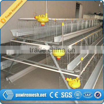 boiler battery cage/poultry battery cage for farm/battery chicken layer cage sale for farm