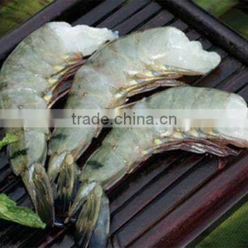 frozen black tiger shrimp