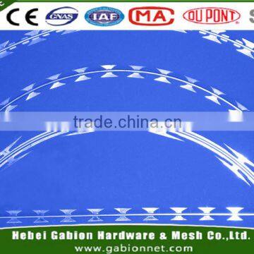 Security fencing razor barbed wire/razor combat wire/safety razor wire