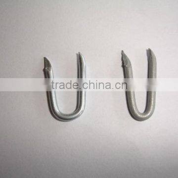 Barbed U-shape Nails/Square Bottom U Shaped Nail (ISO9001) Quality Choice photo-2