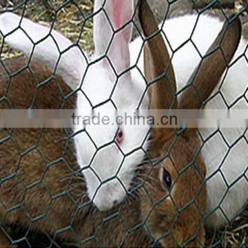 rabbit fencing mesh hexagonal wire netting