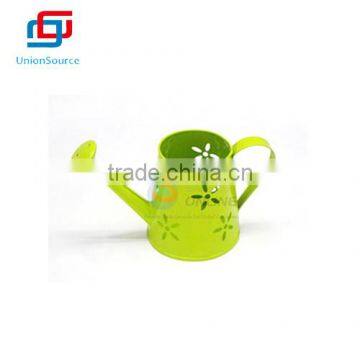 Mini Hollow Flower Watering Can