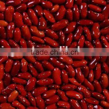 China Dark red kidney beans for sale