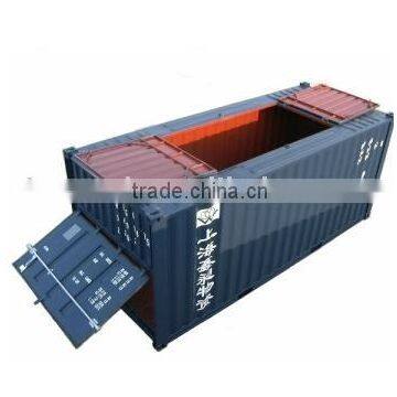 20ft bulk cargo container special container