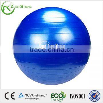 Zhensheng Yoga Massage Ball