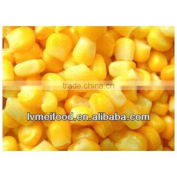 Sweet Corn Supplier