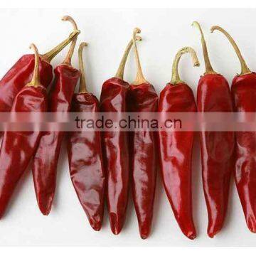 Chillies Whole and Grounded