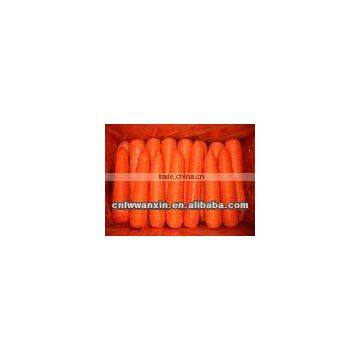 chinese Fresh Washed Carrot 80g -150g in 10kg carton