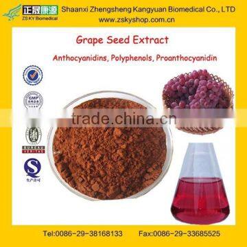 Professional GMP Factory Supply Pure OPC Grape Seed Extract