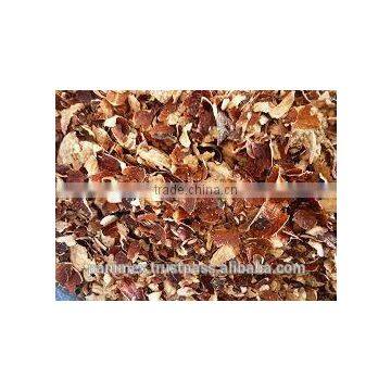 Vietnam cashew testa ( cashew husk)