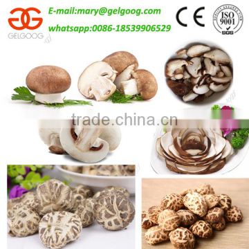 China Gelgoog Brand Mushroom Slice Machine