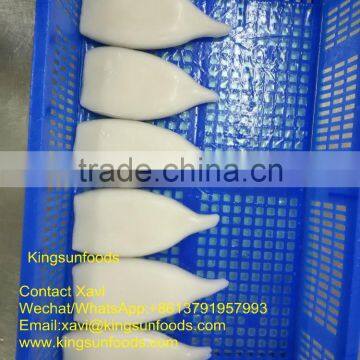 Wholesale Good Taste Frozen Squid Tube,Todarodes Pacificu