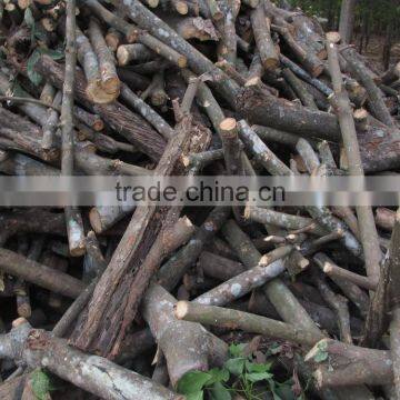 Rubber Firewood from Vietnam sales