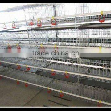 poultry raising equipment for meat chciken