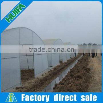 Customized Commercial Walk in Plastic Film High Tunnel Greeenhouse photo-4