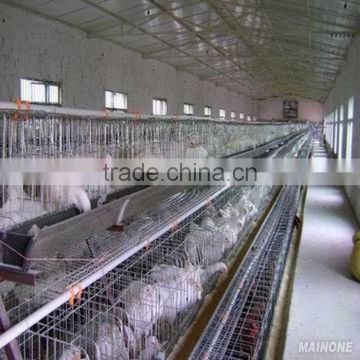 poultry layer cage for sale