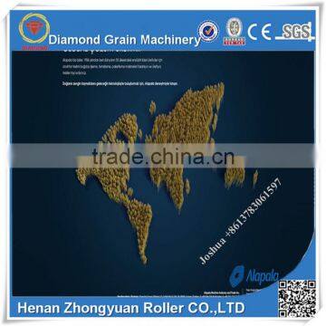 cleaning milling and packing complete processing line 30T per day maize flour milling machine corn flour making equipment