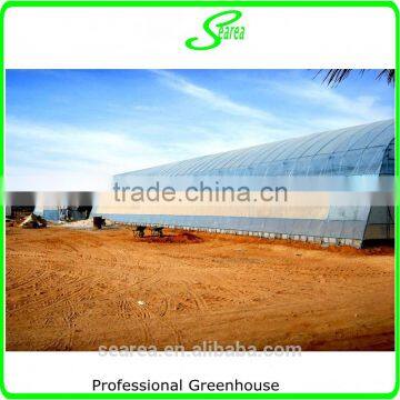 100x8m Agricultural Plastic Tunnel Greenhouse for Sale photo-3