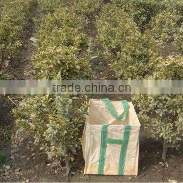 PP STAND BAG photo-3