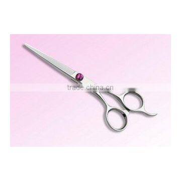 Hair Scissors