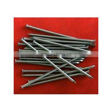 Polished common nails with factory price