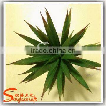 Factory Hot Sale Mini Ornamental Artificial Tropical Succulent Plants for Decoration