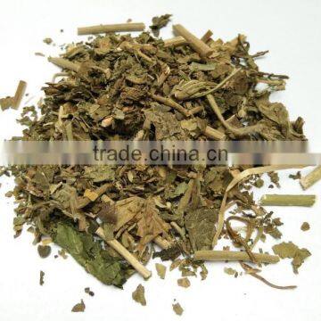 Best Selling Natural Nettle Tea Stinging Nettle Leaf Tea