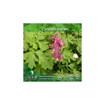 corydalis extract Tetrahydropalmatine Powder