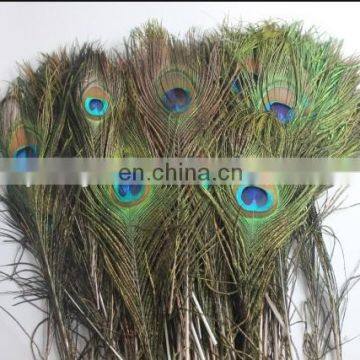 hot selling natural 90-100cm peacock feather