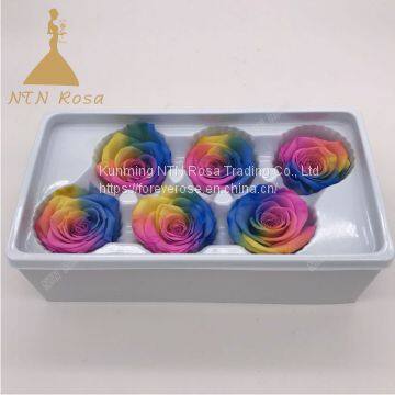 Wholesale Eternal Rose Preserved FlowersEternal Rose For Sale