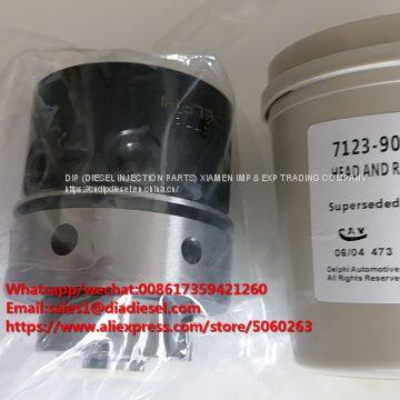 High Quality Delphi Head Rotor Lucas DPA Diesel Head Rotor 7123-909T 909T for sale