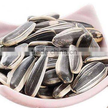 Sunflower Seeds For Oil