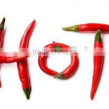 dried red chilli pepper cheap price from manufacturer