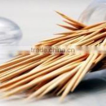 Premium Ceylon Cinnamon Tooth Picks for Export