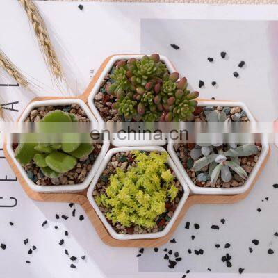 High Quality Wholesale Modern Ceramic White Hexagon Shape Planter Pot Small With Bamboo Tray