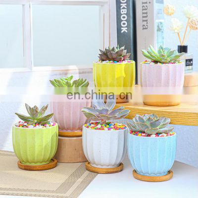 Amazon Garden Creative Succulent Flower Pot Macaron Potted Combination Ceramic Color Flower Pot