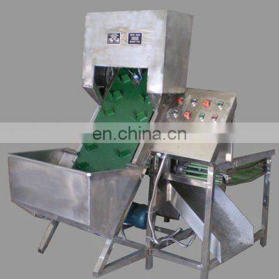 Automatic Onion Root Cutting and Peeling Machine photo-2